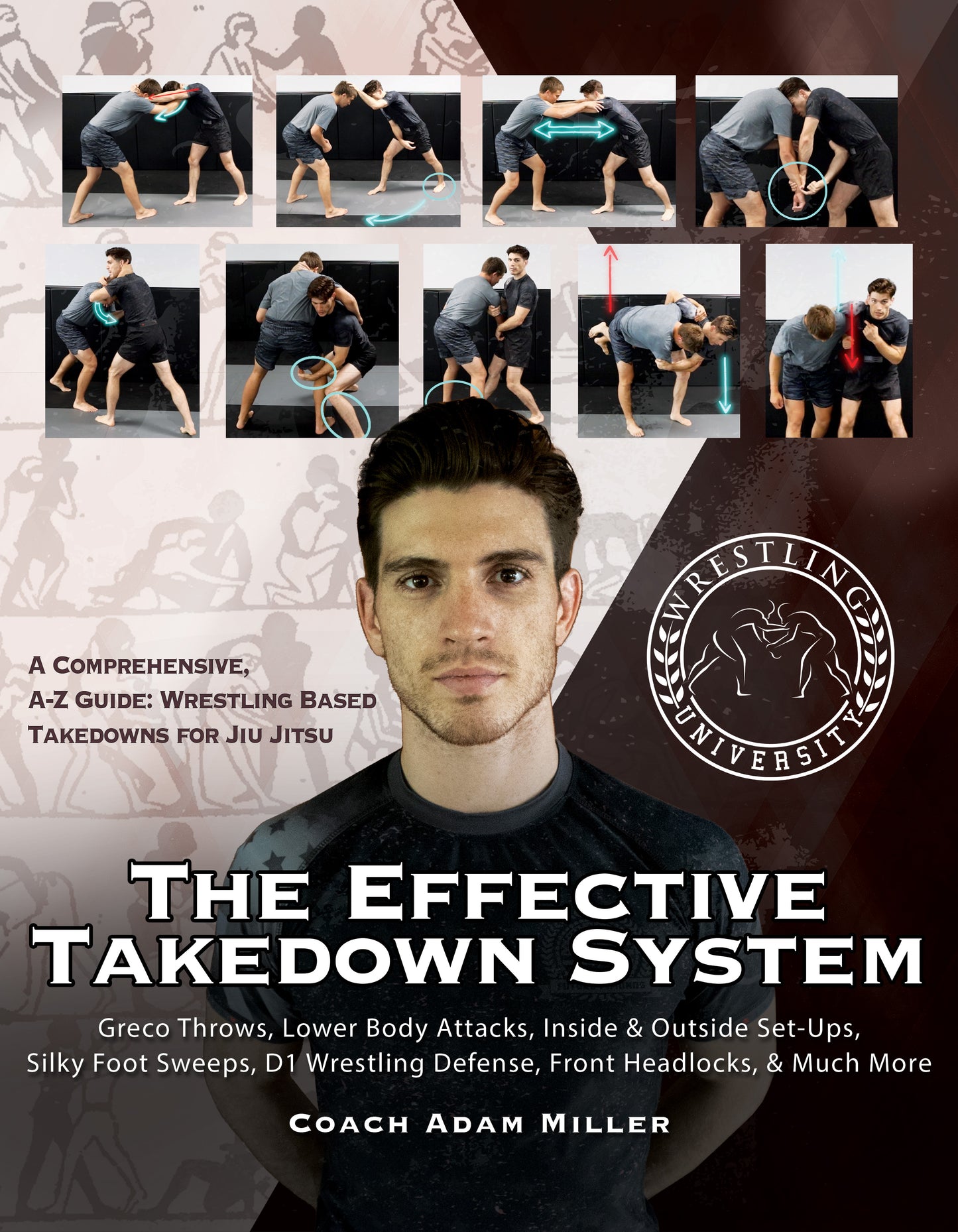 The Effective Takedown System