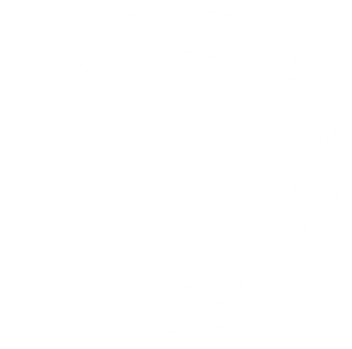 Wrestling University